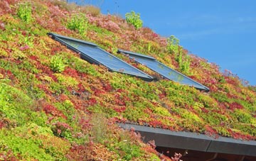 Habrough living roof systems