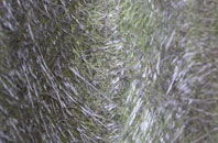 Habrough fibreglass roof work